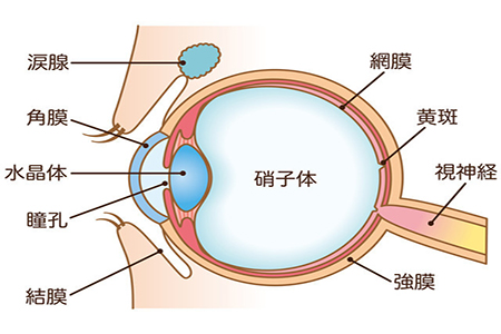 全飞秒需要休息多久恢复？