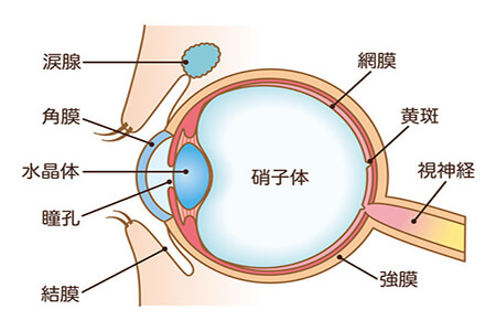散光比较重的可以做近视眼手术吗？