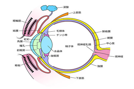 全飞秒矫正近视手术相关介绍