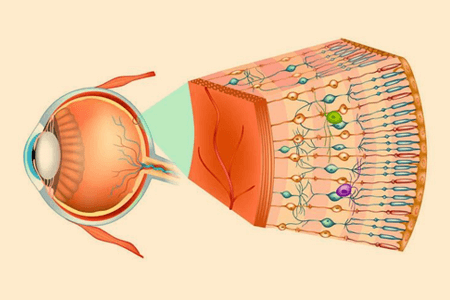 小孩散光能治好吗？应该如何应对？