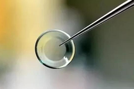 荷兰梦享角膜塑形镜怎么样？