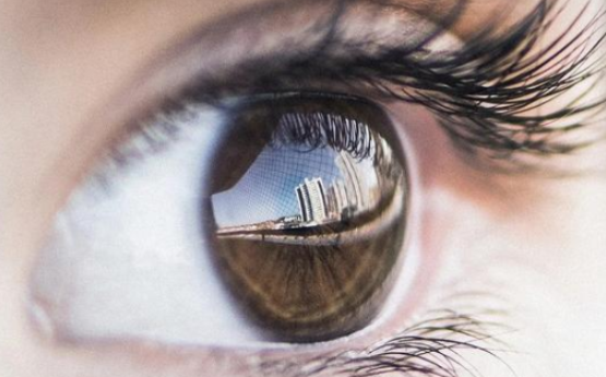 蜂蜜治疗干眼症的偏方是真的吗？