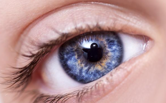 近视眼植入晶体手术价格贵不贵？