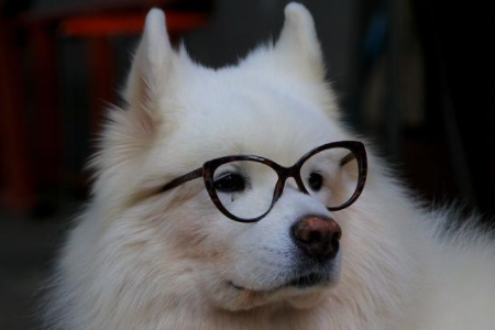 全国近视手术医院排行