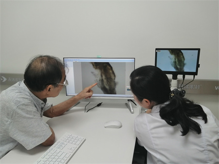 老年人应该怎么预防白内障呢？要注意什么？